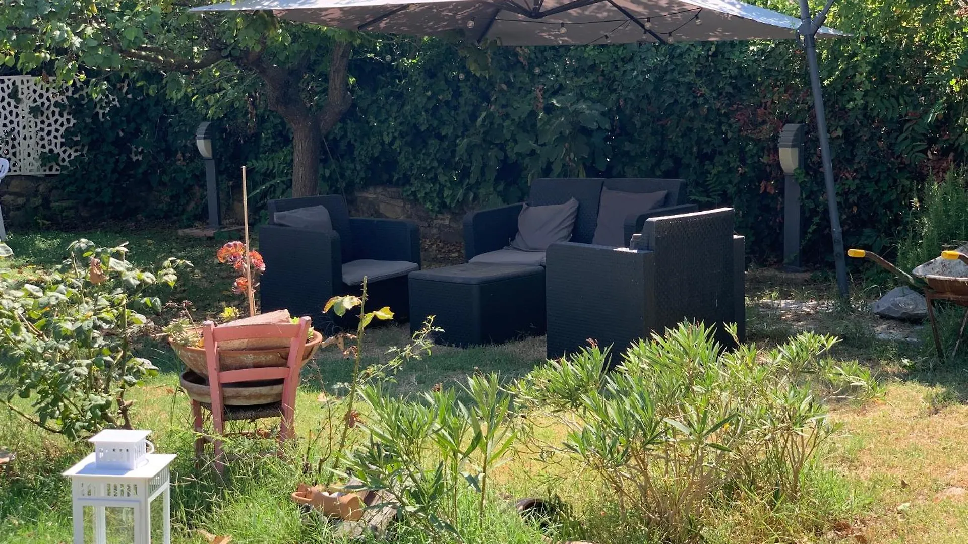 Country house Podere Girasoli Piombino