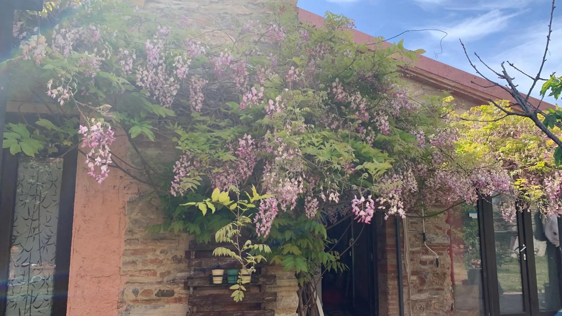 Podere Girasoli Piombino Italia
